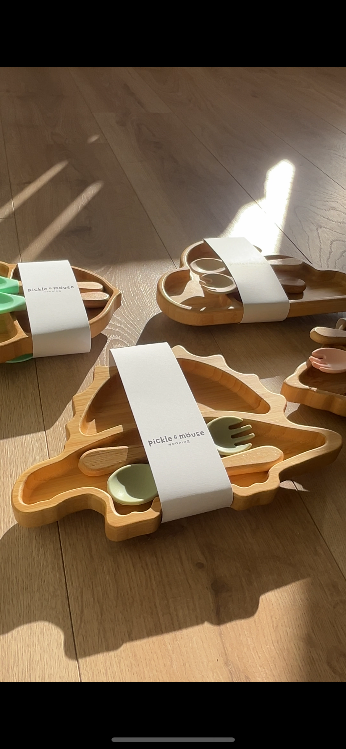 Suction plate set - Sage Dino