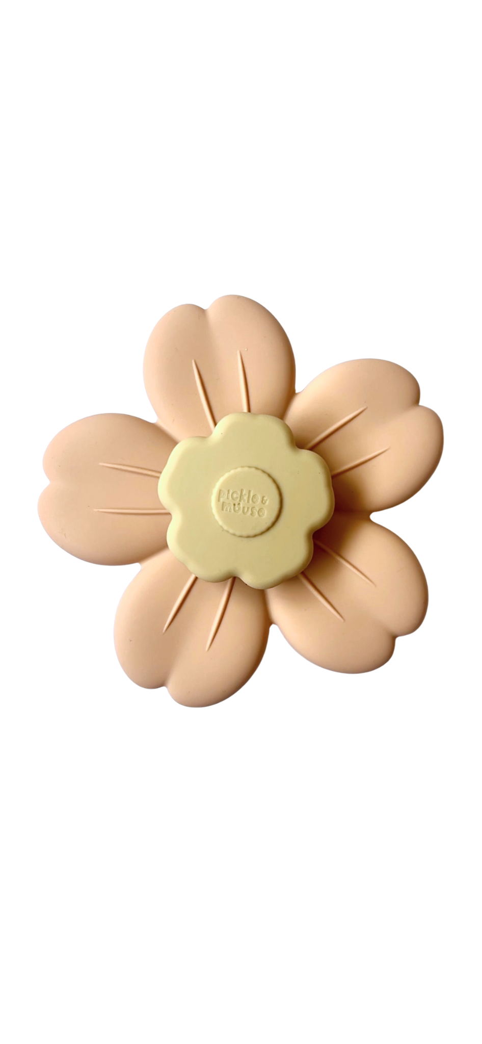 Sensory Spinner