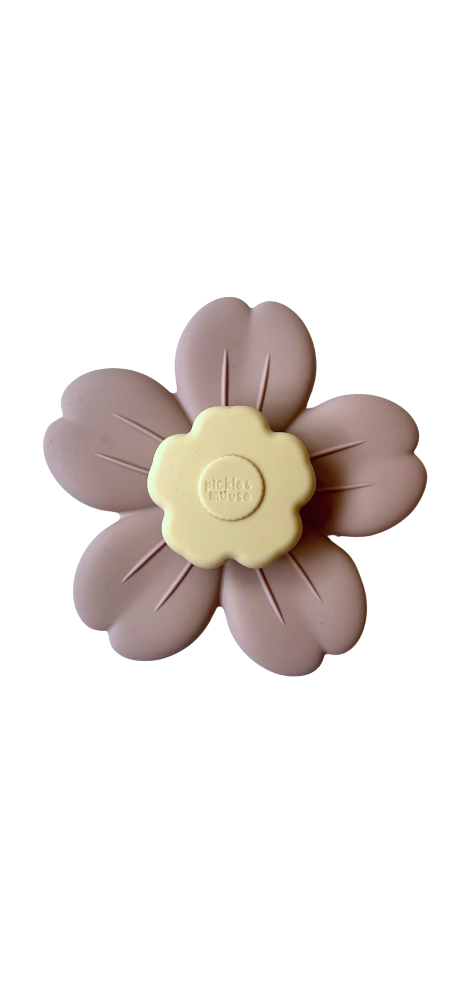 Sensory Spinner