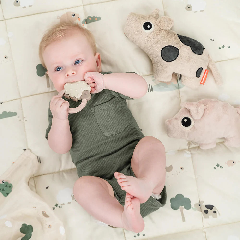 Cuddle cute - Dotti Cow
