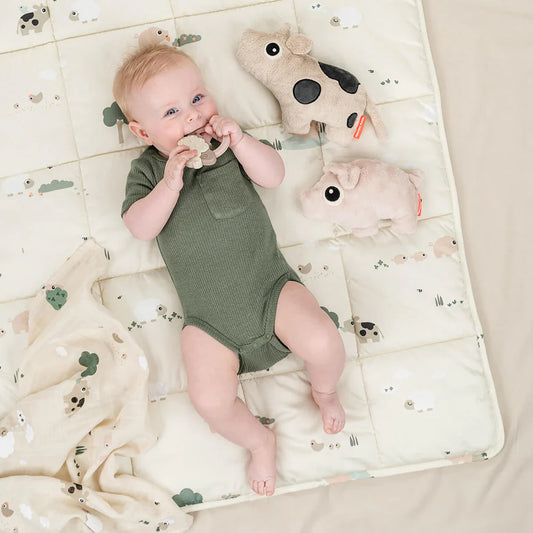 Cuddle cute - Dotti Cow