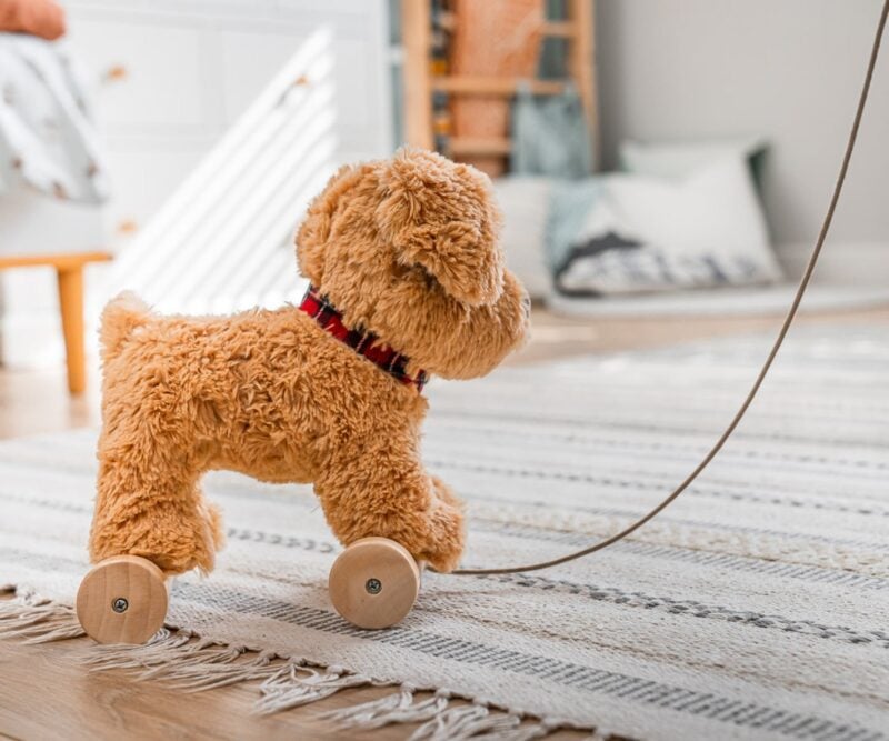 Dexter Dog Pull Along Toy