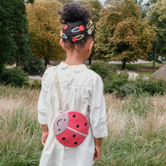 Lily ladybird clips