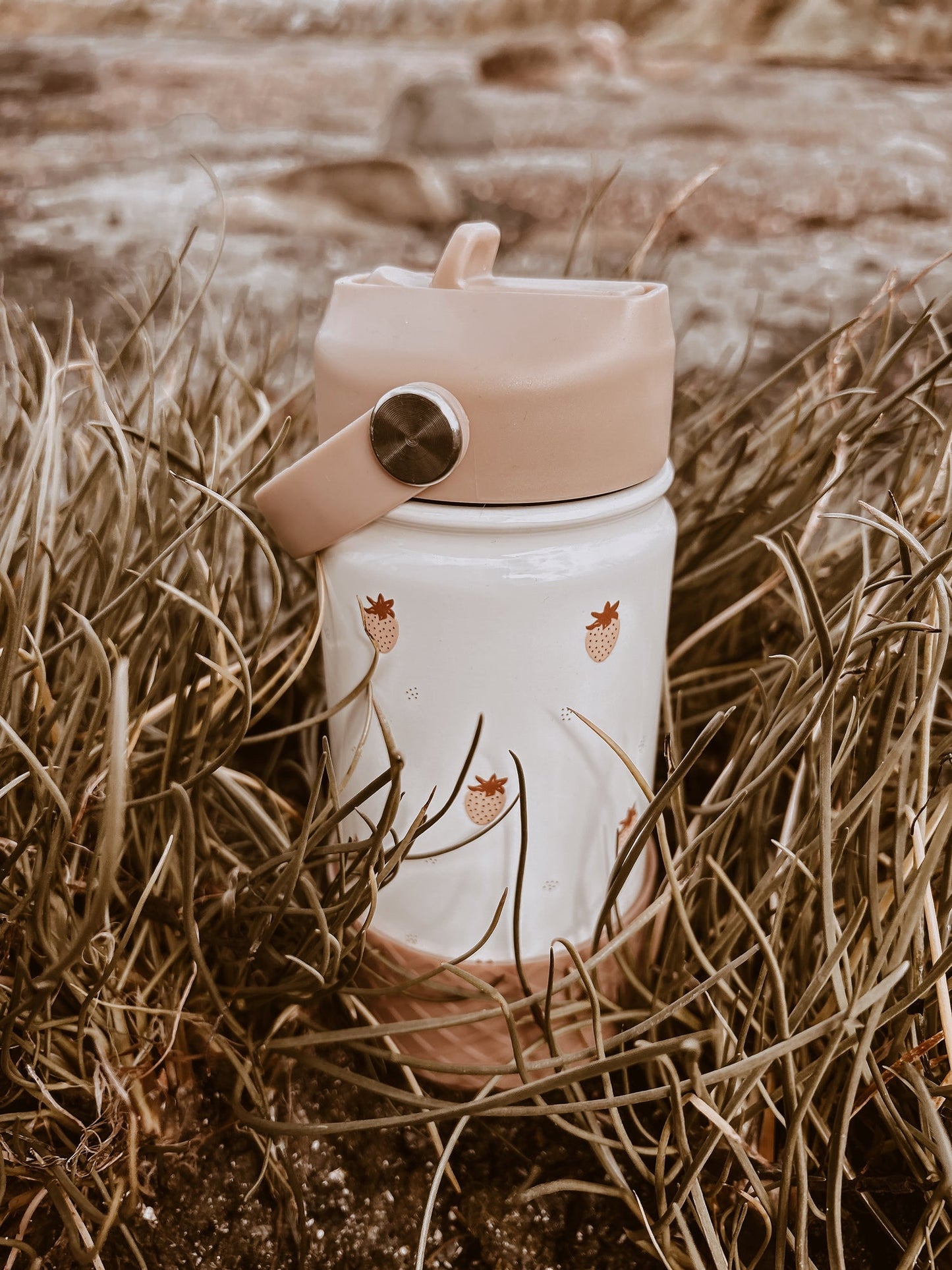 Water Bottle - Stainless Steel - Strawberry Mood