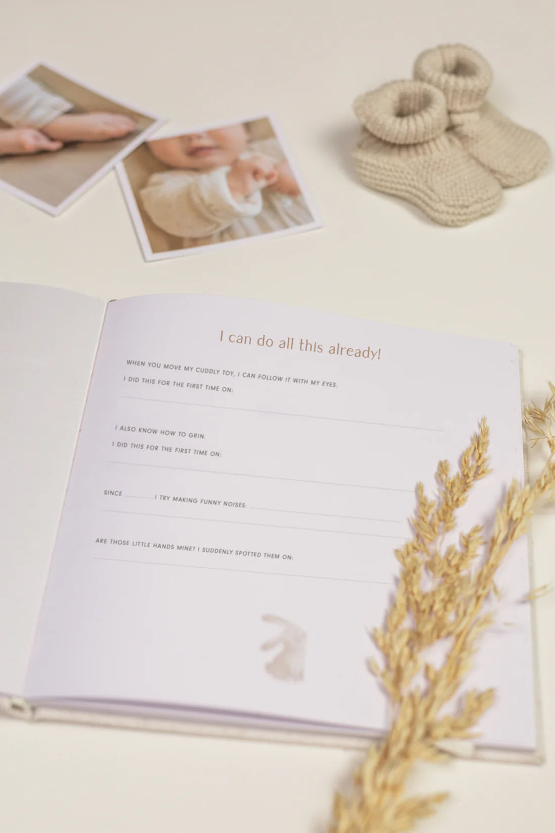 My First Year Baby Book - Baby Bunny