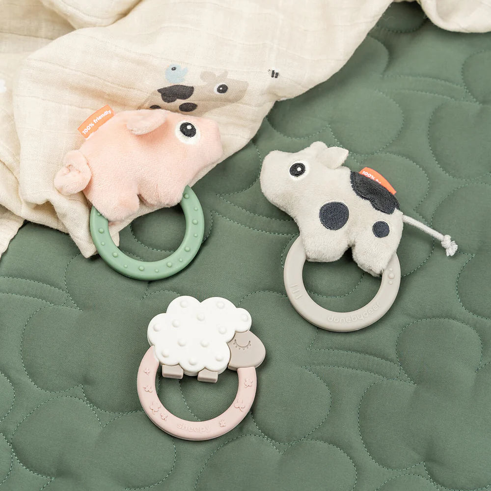 Sensory rattle teether - Pigee