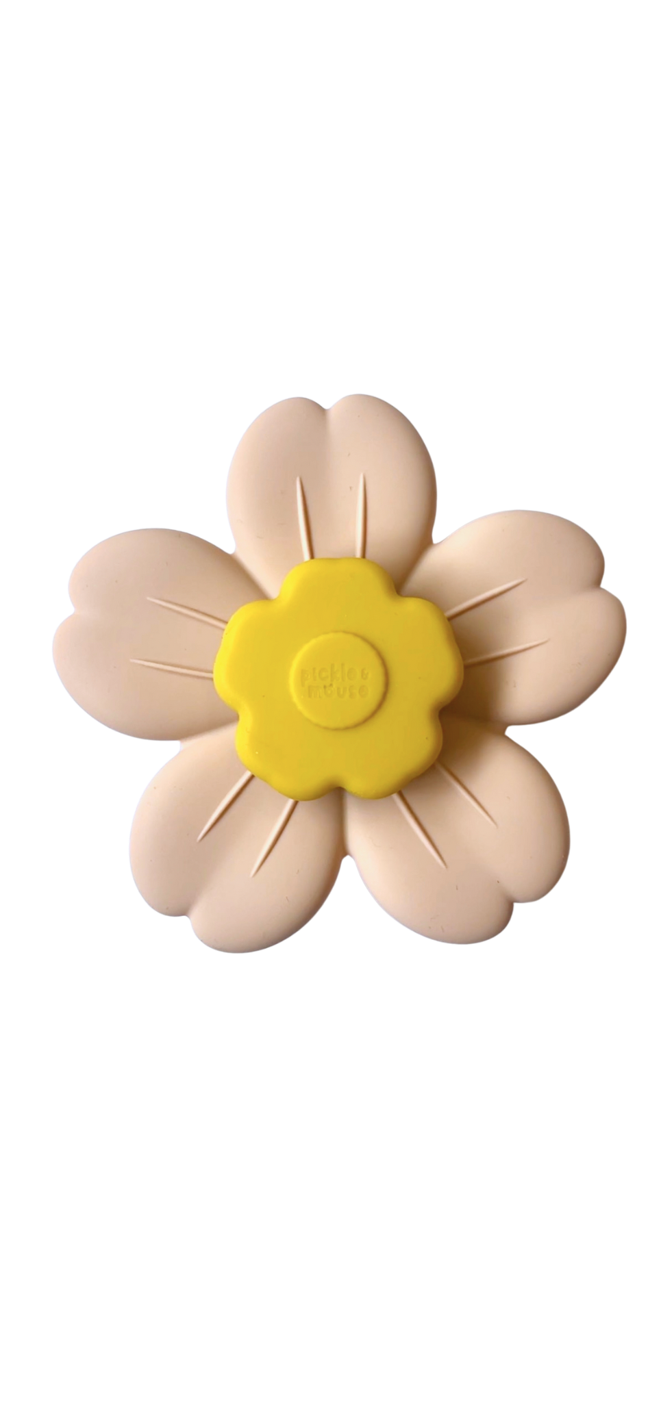 Sensory Spinner
