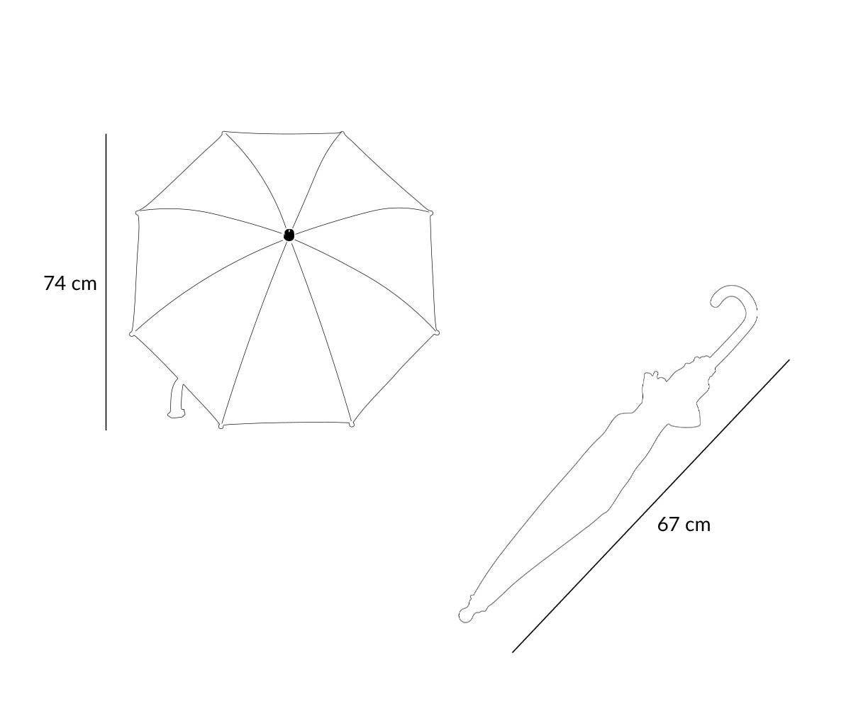 Transparent Umbrella Planes
