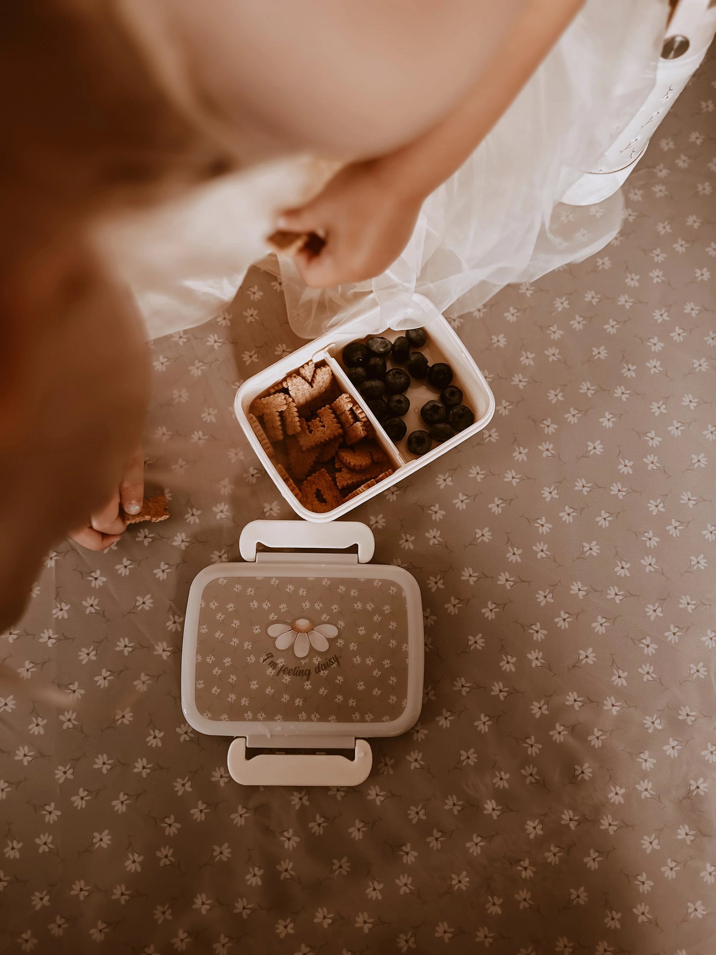 Lunch box - Little Daisies