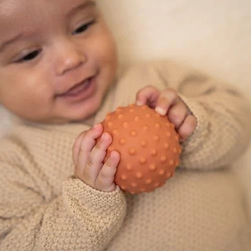 Sensory Balls - Little Farm
