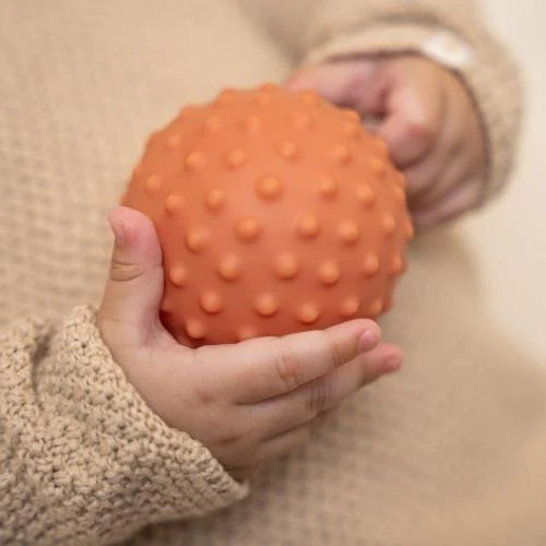 Sensory Balls - Little Farm