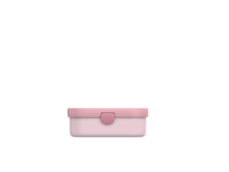 lunch box campus - Fairy Garden