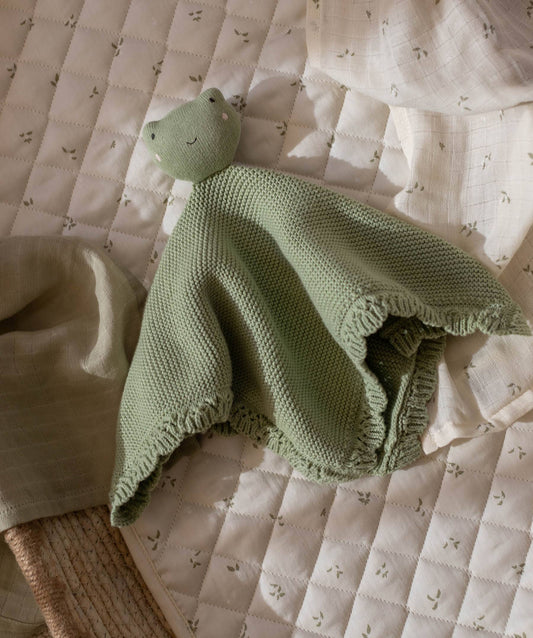 Cuddle Cloth - Friendly Frog