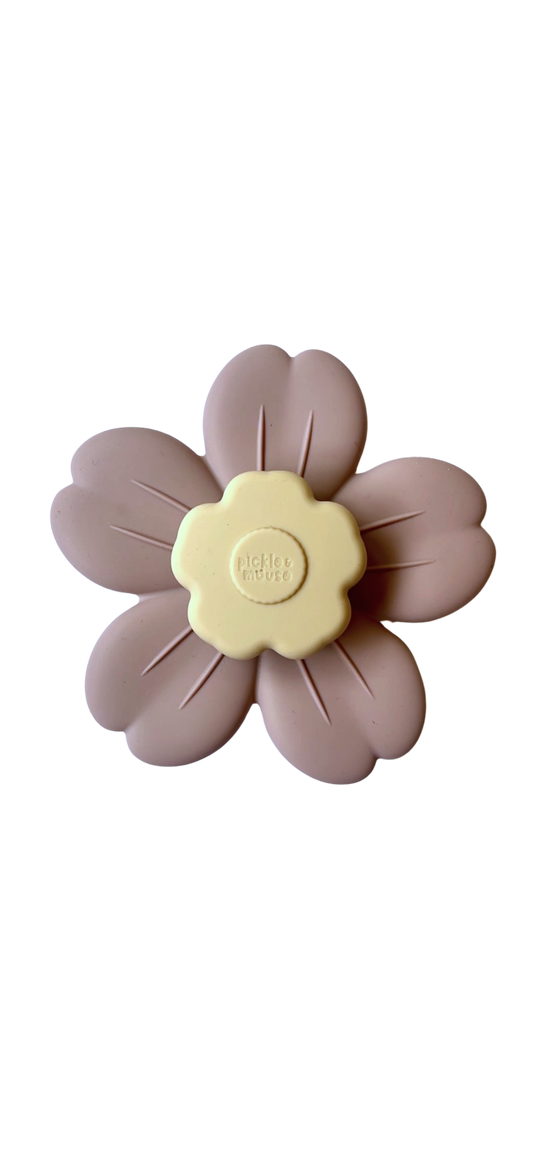 Sensory Spinner