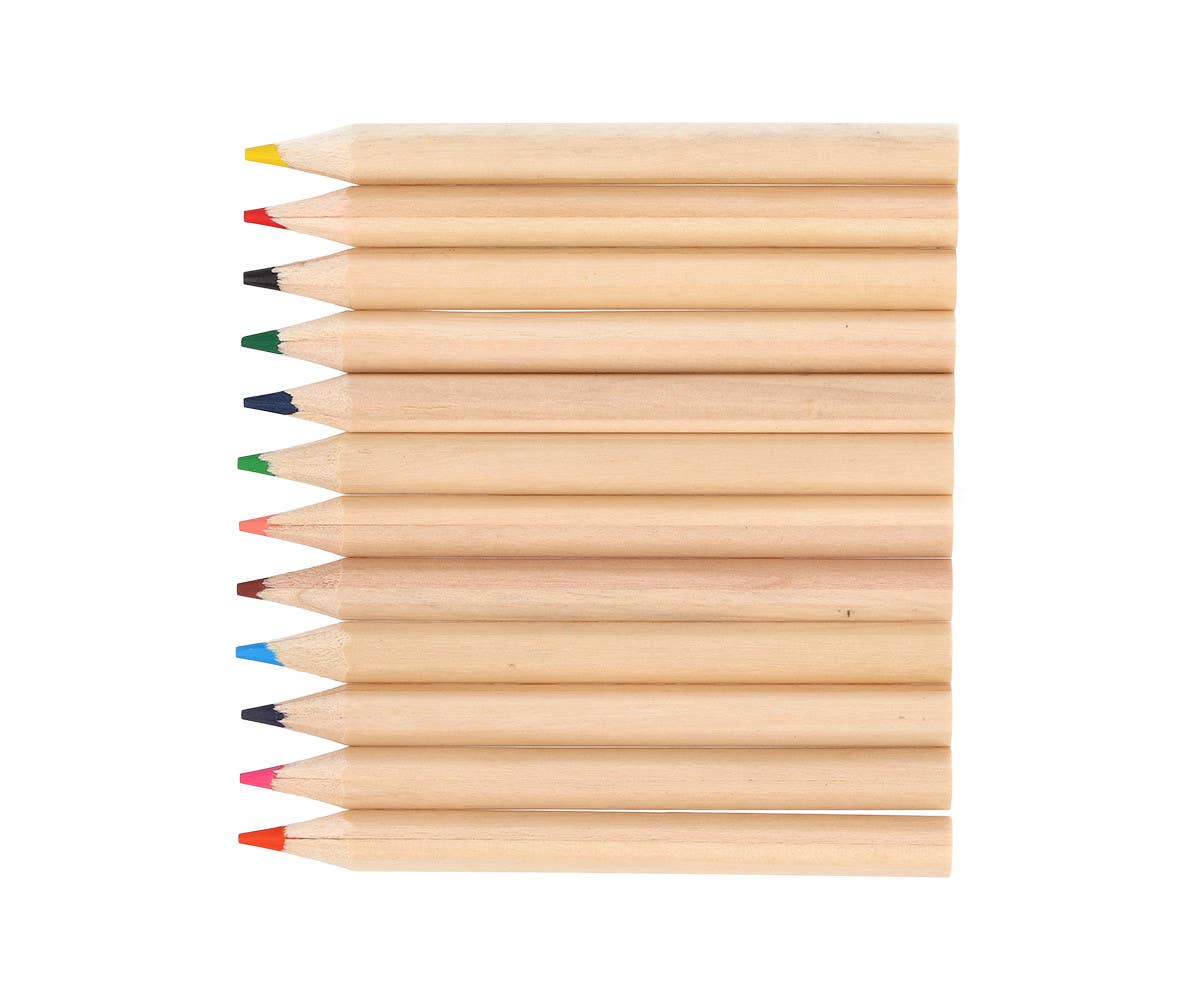 Tube of 12 Blossom Birds pencils