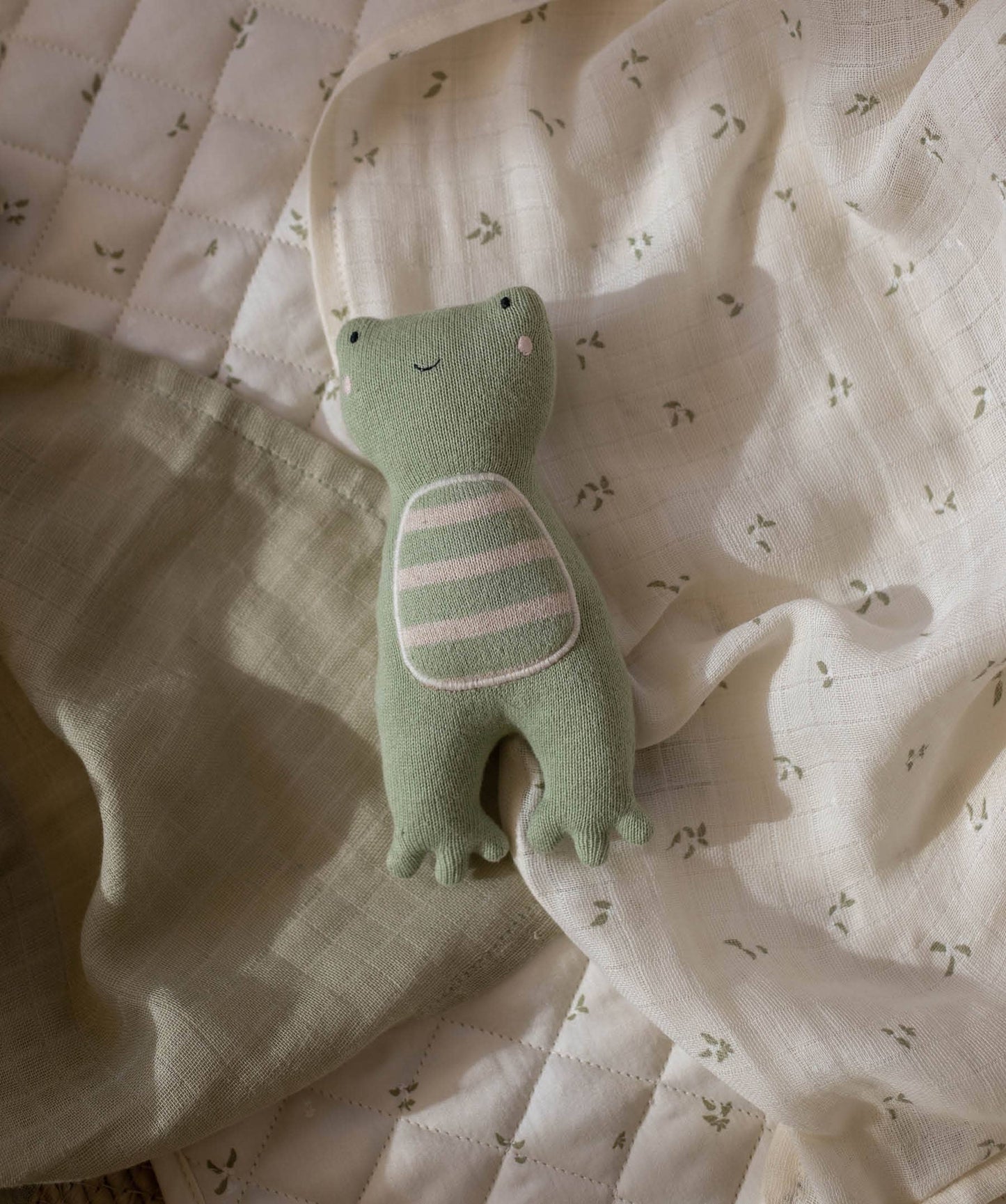 Little Hands Toy - Friendly Frog