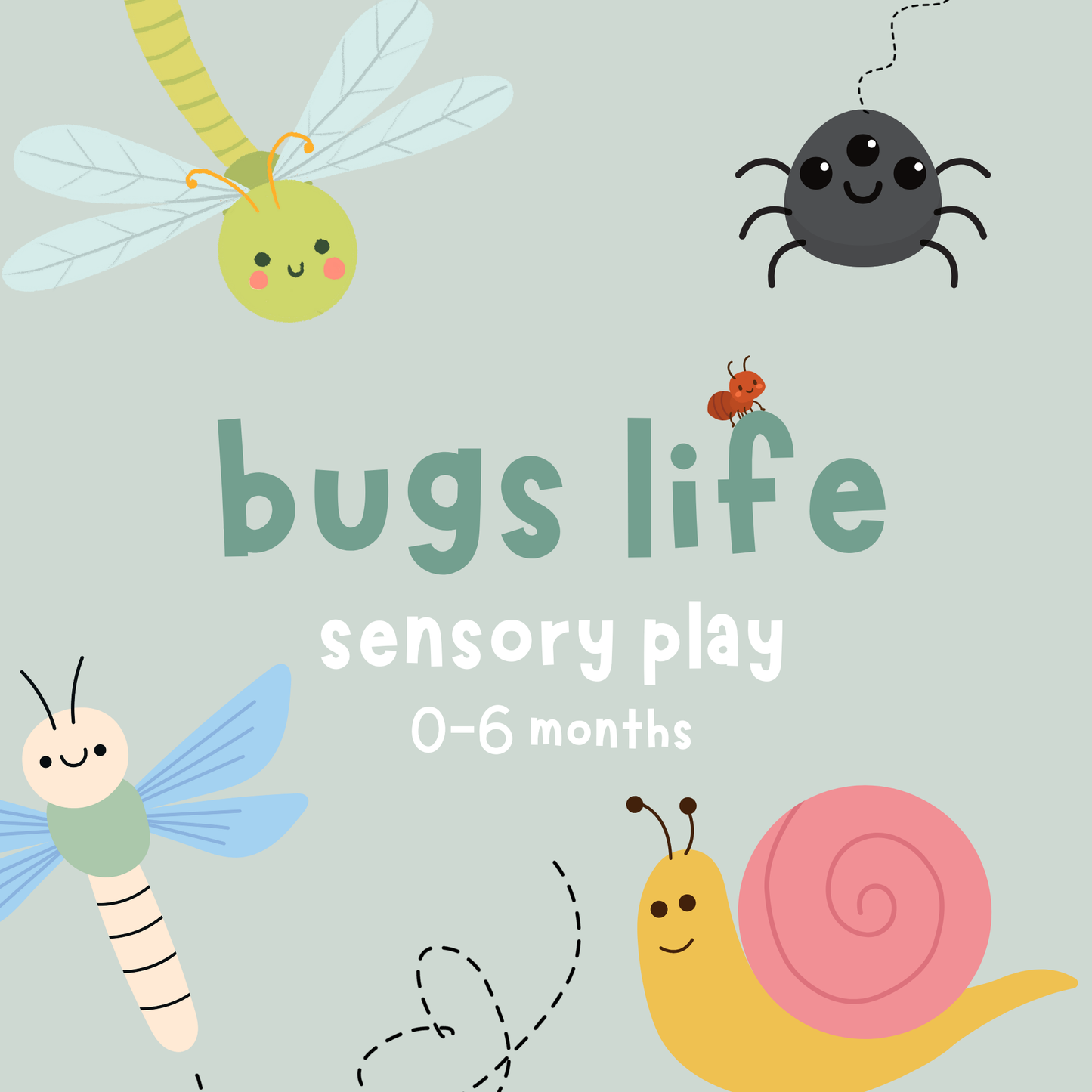 Bugs life sensory 0-6 months | various dates