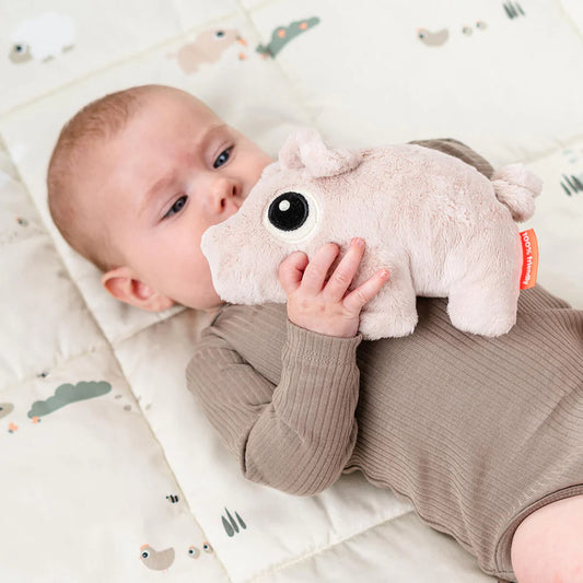 Cuddle cute - Pigee