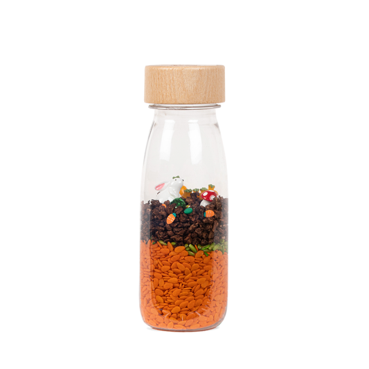 Sensory Bottle - Carrots