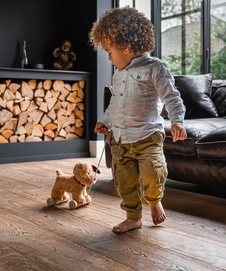 Dexter Dog Pull Along Toy