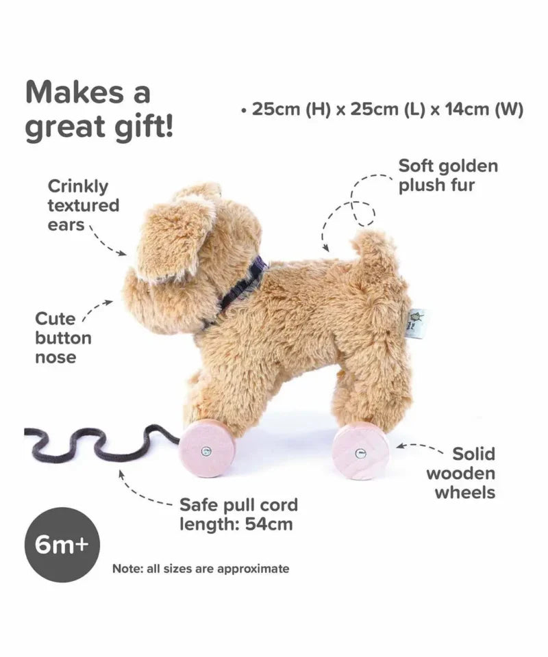 Dexter Dog Pull Along Toy