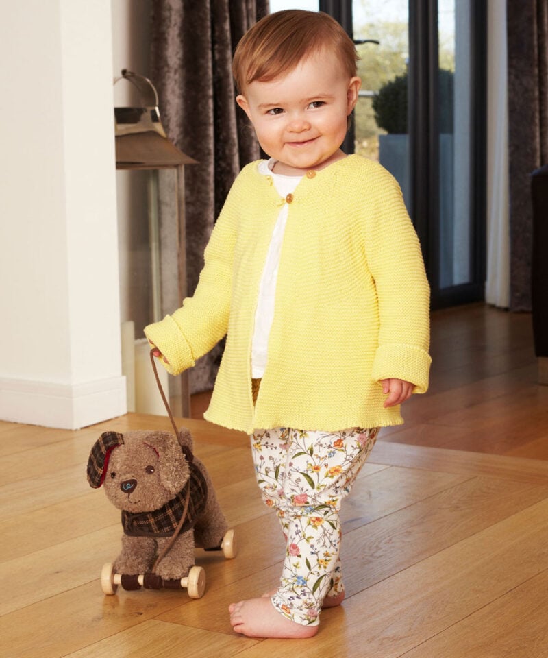 Percy Pup Pull Along Toy