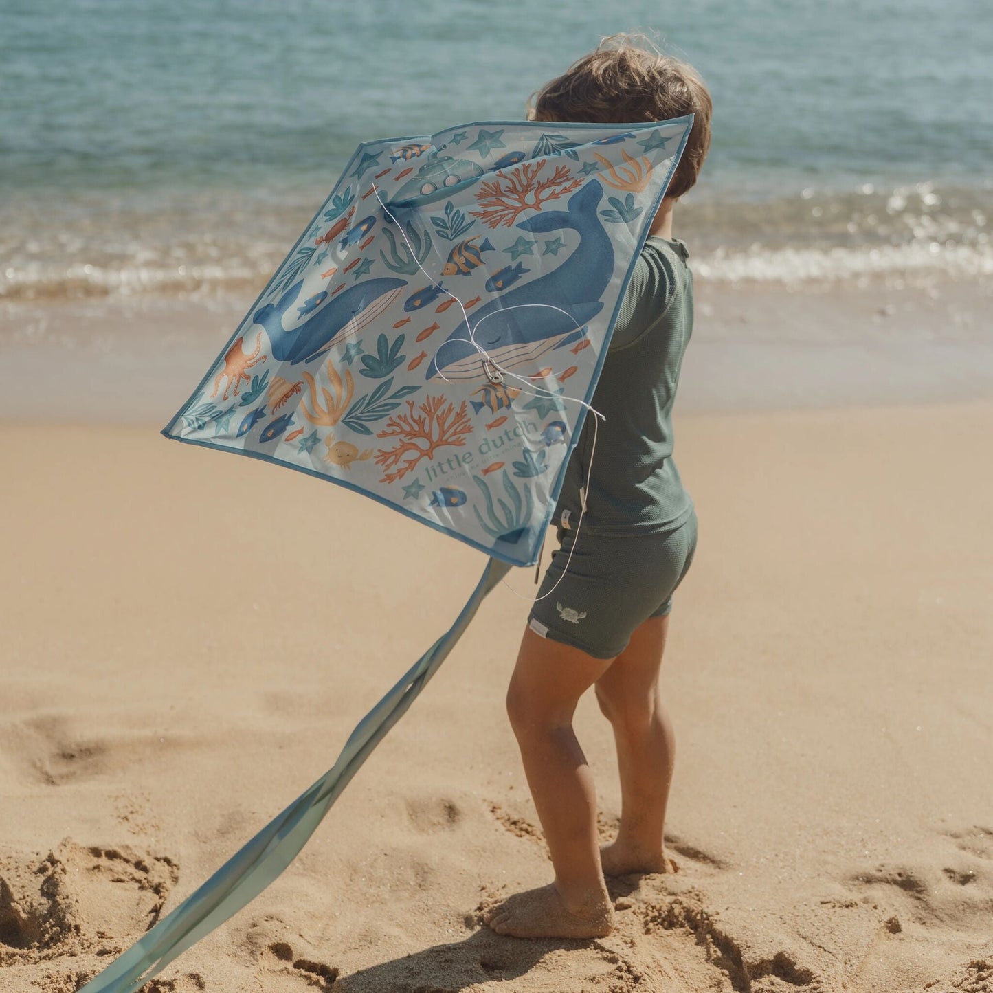 Kite - ocean friends