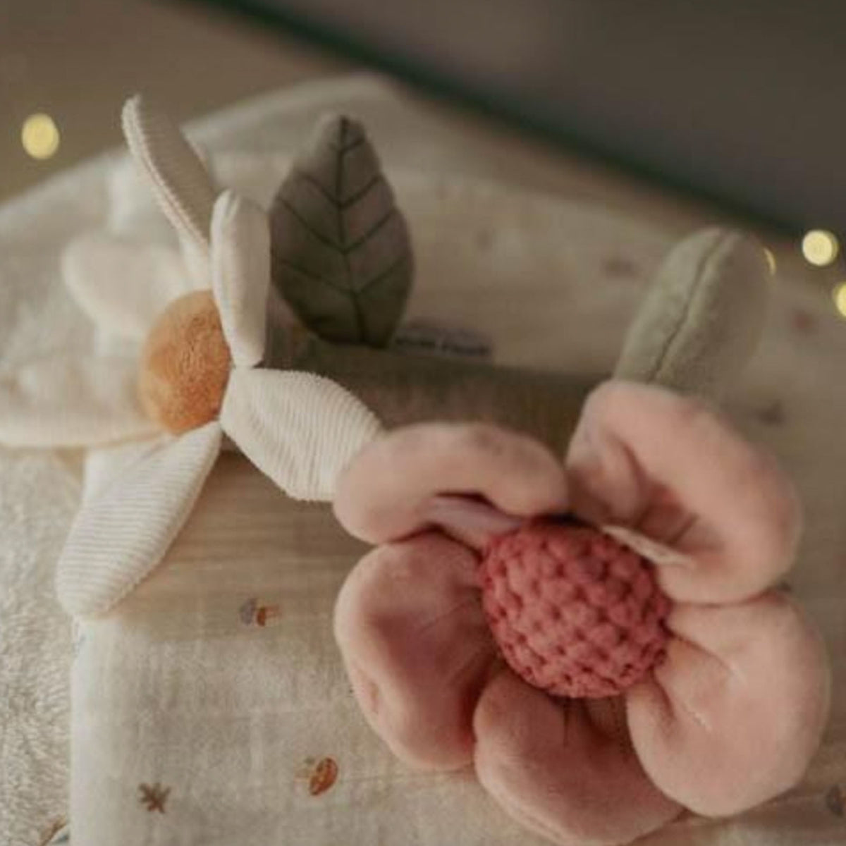 Rattle Flower - Fairy Garden