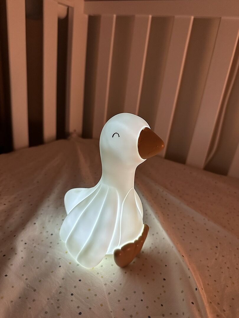 Little Goose Night Light