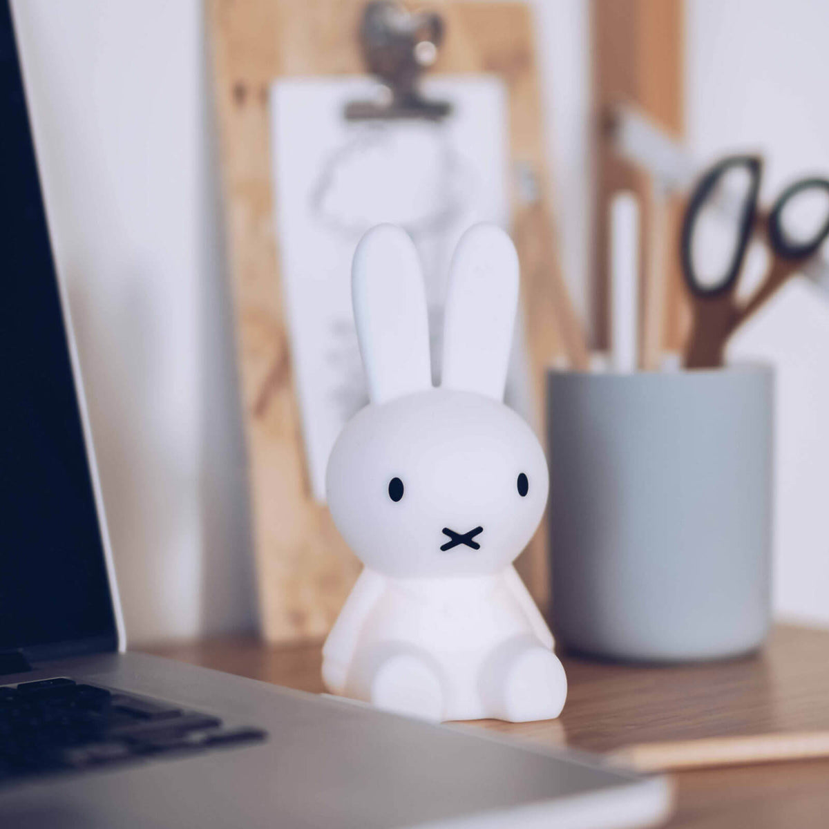 Bundle of Light - Miffy Light