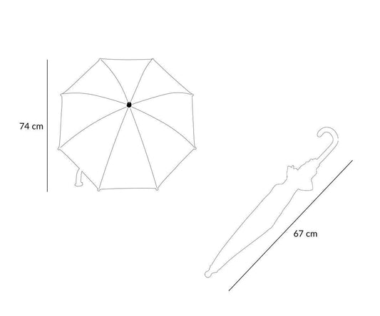 Transparent Umbrella Planes